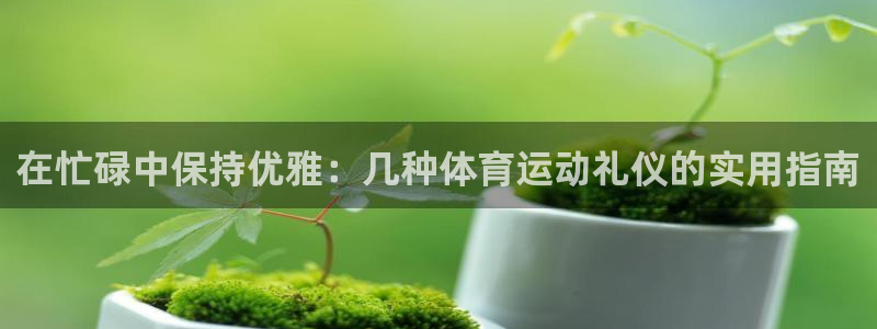 飞速体育直播NBA免费观看：在忙碌中保持优雅：几种体育运动礼仪的实用指南