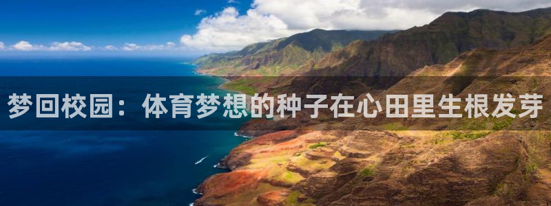 飞速体育直播在线观看官方：梦回校园：体育梦想的种子在心田里生根发芽