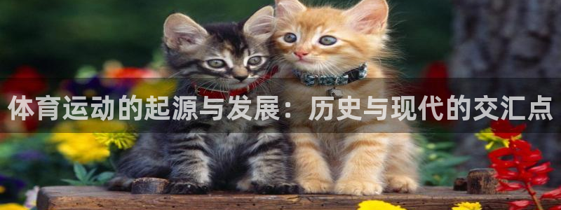 nba飞速体育：体育运动的起源与发展：历史与现代的交汇点