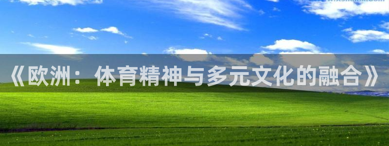 nba飞速体育：《欧洲：体育精神与多元文化的融合》