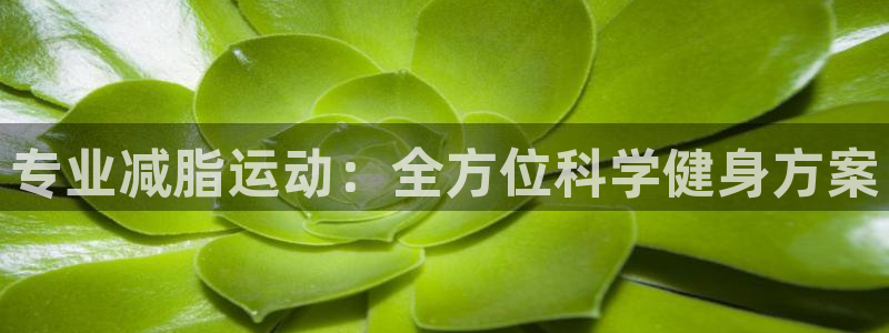 飞速体育极速直播：专业减脂运动：全方位科学健身方案