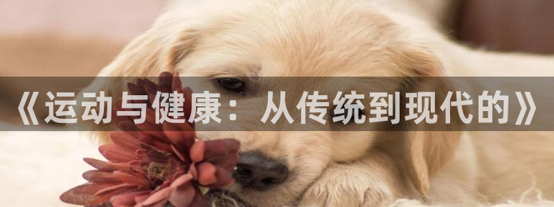 飞速体育：《运动与健康：从传统到现代的》