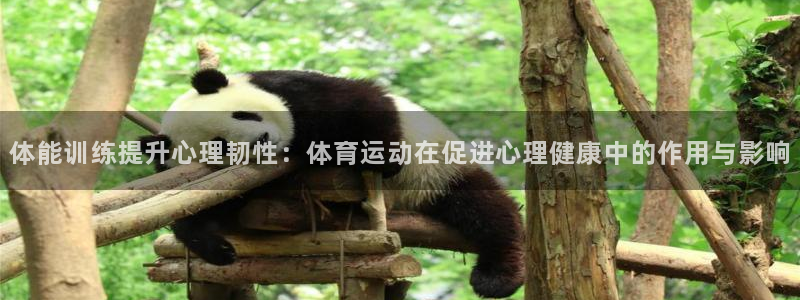 飞速体育直播NBA免费观看：体能训练提升心理韧性：体育运动在促进心理健康中的作用与影响