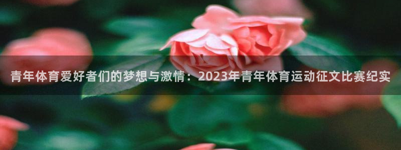 飞速体育nba：青年体育爱好者们的梦想与激情：2023年青年体育运动征文比赛纪实