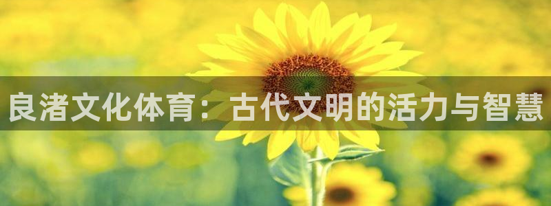 飞速体育下载app：良渚文化体育：古代文明的活力与智慧