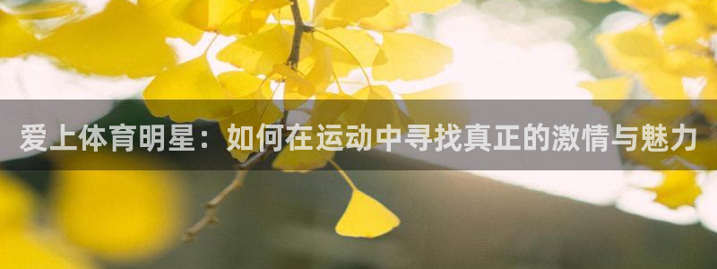 飞速体育官网：爱上体育明星：如何在运动中寻找真正的激情与魅力